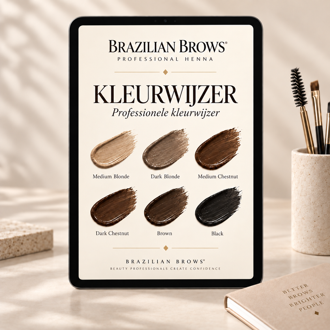 Professional Henna Brow Shade Guide
